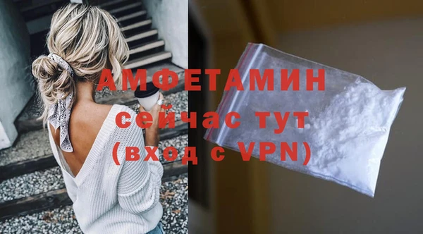 PSILOCYBIN Аркадак
