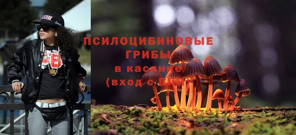 дмт Балахна